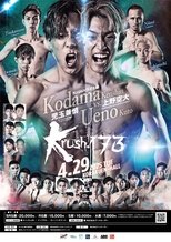 Poster de la película Krush 173