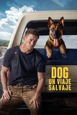 Poster de la película Dog - Un viaje salvaje