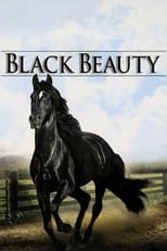 Poster de la serie Black Beauty