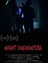 Poster de la película Night Encounters