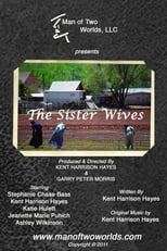 Poster de la película The Sister Wives