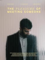 Poster de la película The Pleasure of Meeting Someone