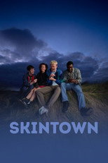 Poster de la película Skintown