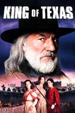 Poster de la película King of Texas