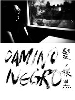 Poster de la película Camino Negro