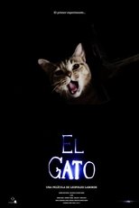 Poster de la película El gato