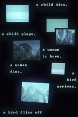 Poster de la película A child dies, a child plays, a woman is born, a woman dies, a bird arrives, a bird flies off