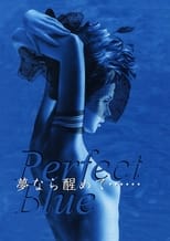 Poster de la película Perfect Blue: Yume Nara Samete