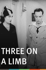 Poster de la película Three on a Limb