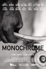 Poster de la película Monochrome