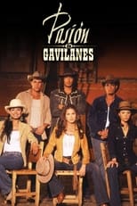 Pasión de gavilanes