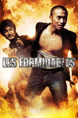 Poster de la película Les Formidables