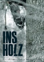 Poster de la película In the Woods