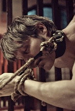 Poster de la película Hannibal: This Is My Design