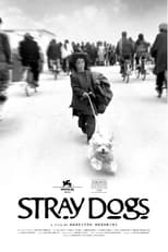 Poster de la película Stray Dogs