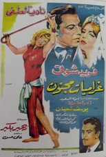 Poster de la película غراميات مجنون