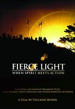 Poster de la película Fierce Light: When Spirit Meets Action