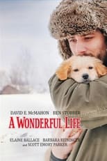 Poster de la película A Wonderful Life