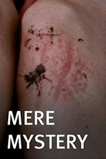 Poster de la película Mere Mystery