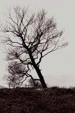 Poster de la película The Harrowed Coast