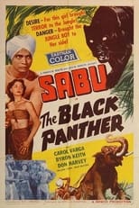 Poster de la película The Black Panther