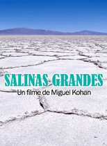 Poster de la película Salinas grandes
