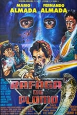 Poster de la película Rafaga De Plomo