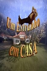 Poster de la serie Um Estranho em Casa