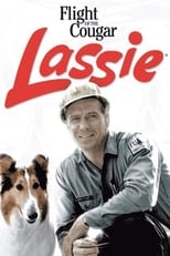 Poster de la película Lassie and the Flight of the Cougar