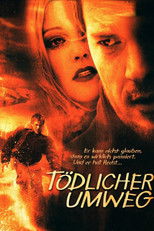 Poster de la película Deadly Diversion