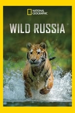 Poster de la serie Wild Russia