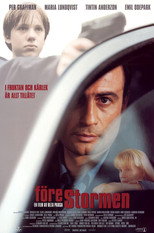 Poster de la película Before the Storm