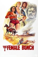 Poster de la película The Female Bunch