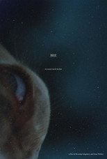 Poster de la película Beef