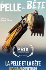 Poster de la película La pelle et la bête