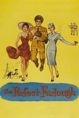 Poster de la película The Perfect Furlough