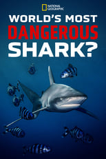 Poster de la película World's Most Dangerous Shark?