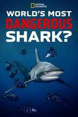 Poster de la película World's Most Dangerous Shark?