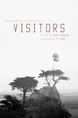 Poster de la película Visitors