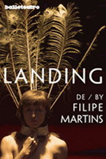 Poster de la película Landing
