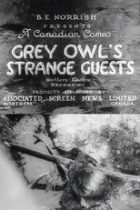 Poster de la película Grey Owl's Strange Guests