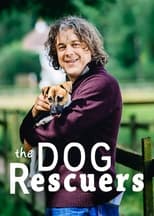 The Dog Rescuers with Alan Davies