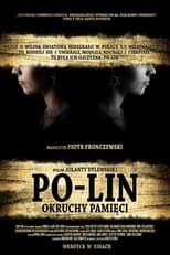 Poster de la película Po-lin. Shards of Memory