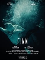 Poster de la película FINN