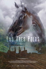 Poster de la película Los tres Polos