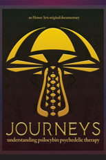Poster de la película Journeys