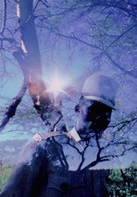 Poster de la película Moonchild