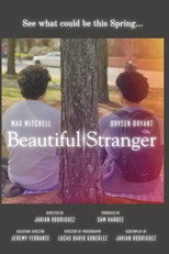 Poster de la película Beautiful Stranger