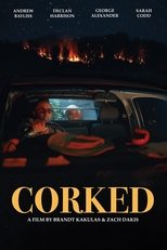 Poster de la película Corked