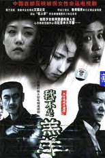 Poster de la serie 又见花儿开